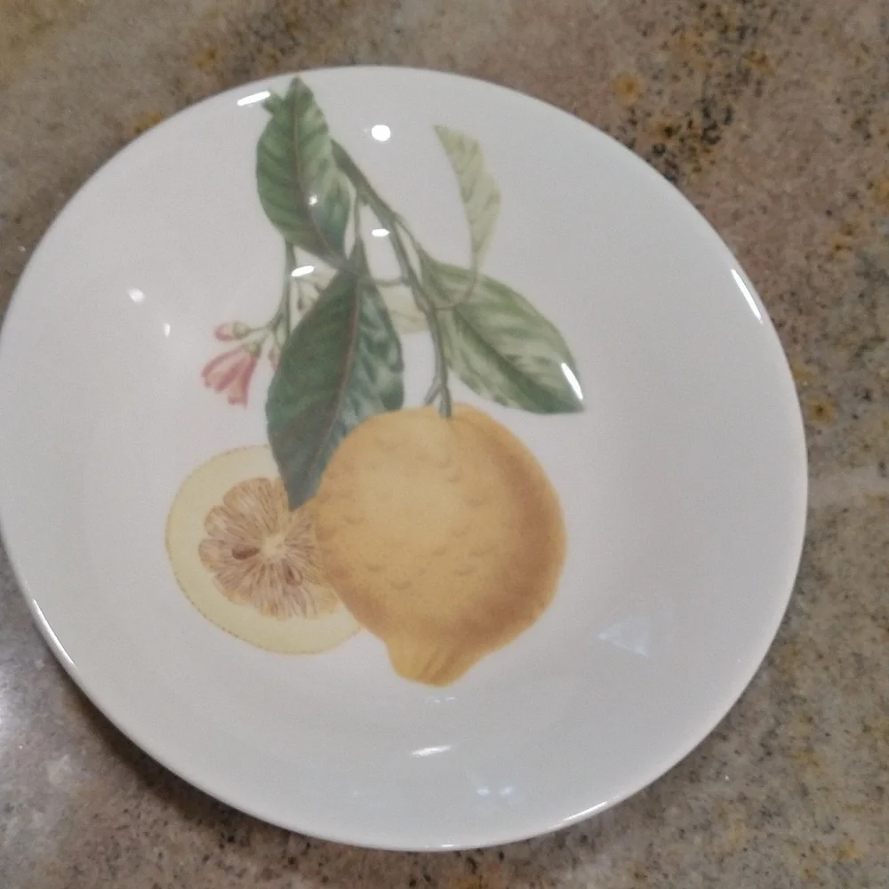Lemon botanical dish Portugal 8